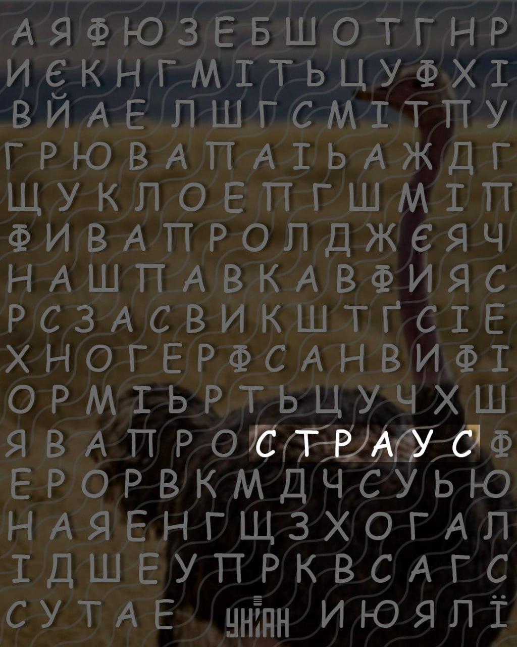 Sólo las personas con un alto coeficiente intelect pueden encontrar la palabra 