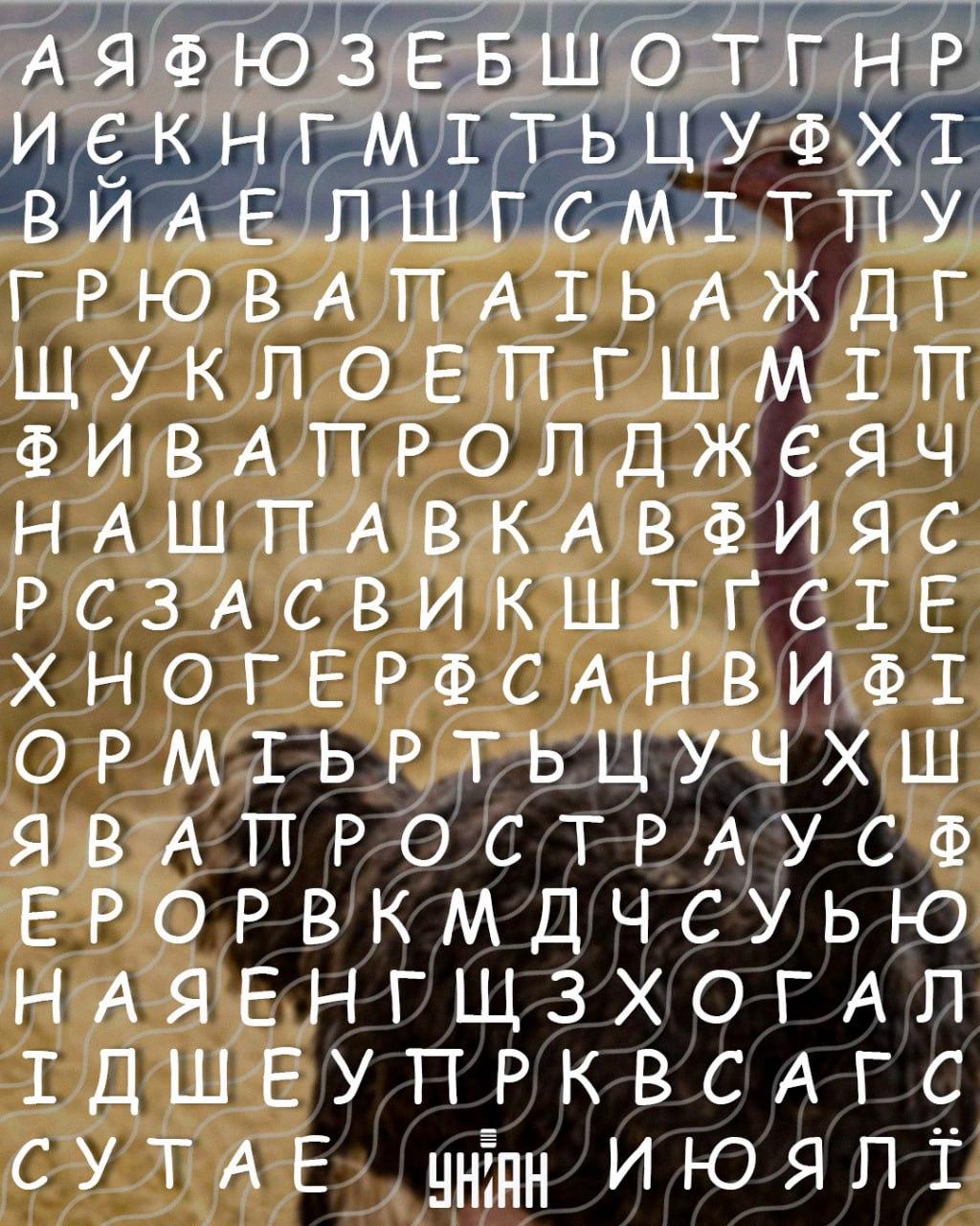 Sólo las personas con un alto coeficiente intelect pueden encontrar la palabra 