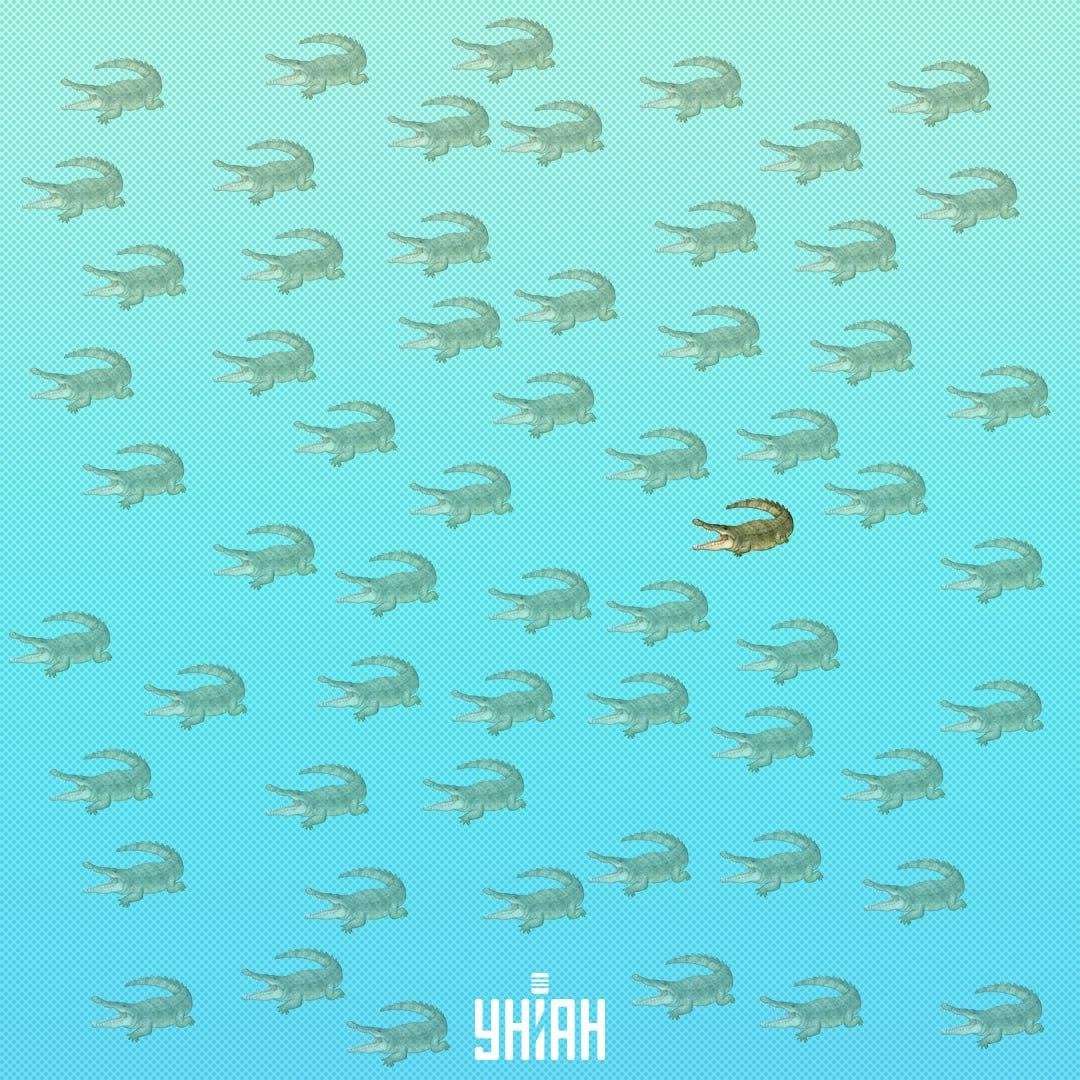 Debería haberse encontrado más cerca del centro, a la derecha / Moje Collage