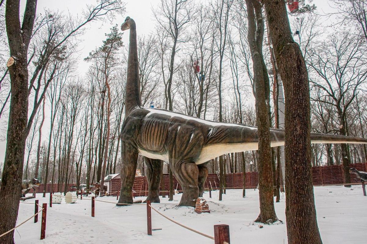 Encuentra un perro en la nieve en 10 segundos / collage Moje