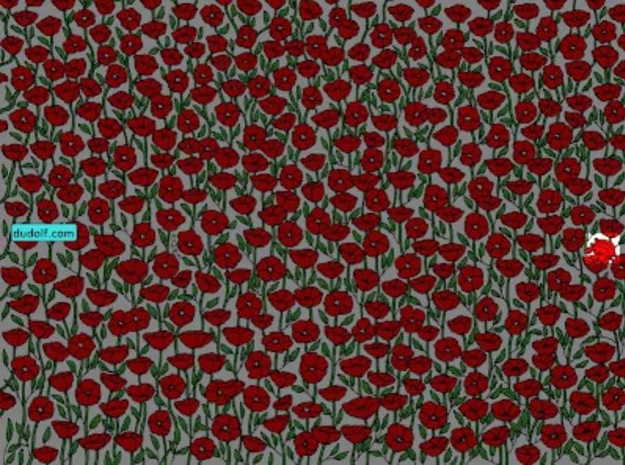 Sólo los superatentos encontrarán el cangrejo en la imagen: pon a prueba tu coeficiente intelect en 25 segundos