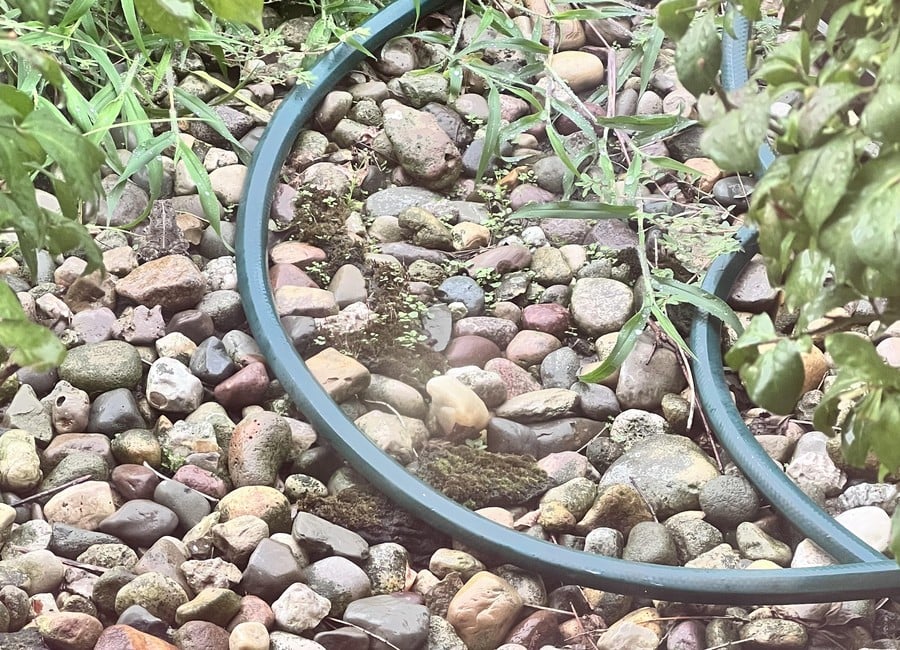 Ilusión óptica: Encuentra la rana escondida