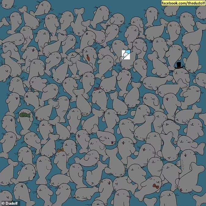 Un rompecabezas para personas con vista aguda: encuentra el malvavisco entre las focas en 11 segundos
