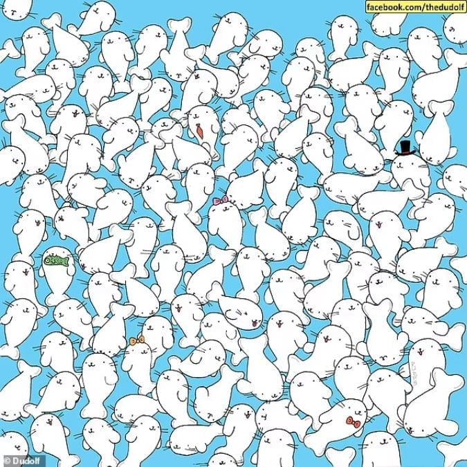 Un rompecabezas para personas con vista aguda: encuentra el malvavisco entre las focas en 11 segundos.