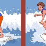 Cuál es la diferencia entre los dos tipos: encuentra 3