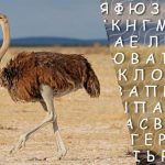 Sólo las personas con un alto coeficiente intelect encontrarán la