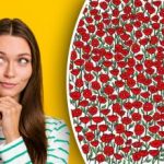 Sólo los superatentos encontrarán el cangrejo en la imagen: pon