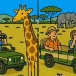 Súper test de inteligencia: encuentra 3 diferencias en una foto