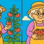 Test de inteligencia: encuentre 3 diferencias en las fotos de