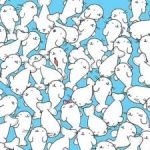 Un puzzle para deficientes vises: encuentra el malvavisco entre las focas en 11 segundos Un puzzle para deficientes vises: encuentra el malvavisco entre las